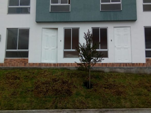 terranova vista frontal