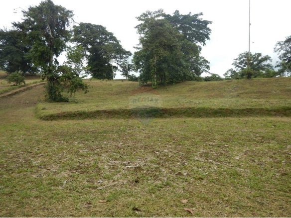 TERRENO EN VENTA, PEDRO VICENTE MALDONADO, ECUADOR