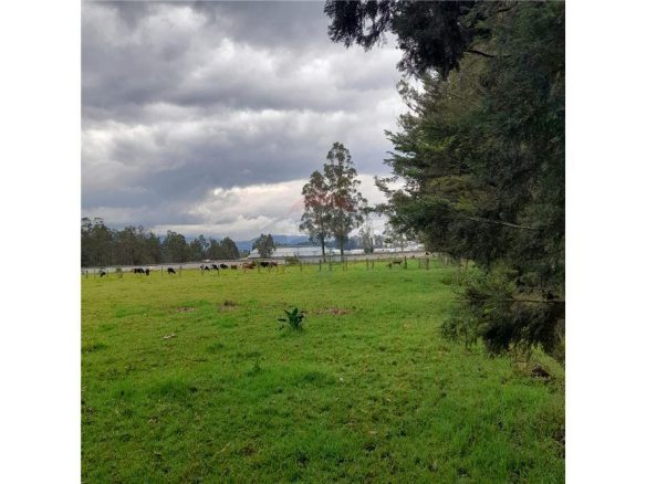 TERRENO EN VENTA, QUITO, ECUADOR