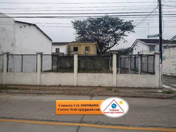 guayacanes portada