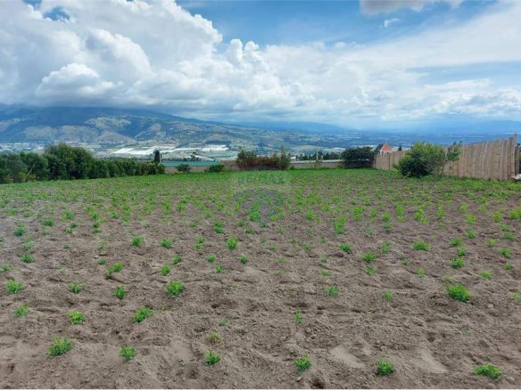 Terreno en venta sector Tocachi, Quito, Ecuador