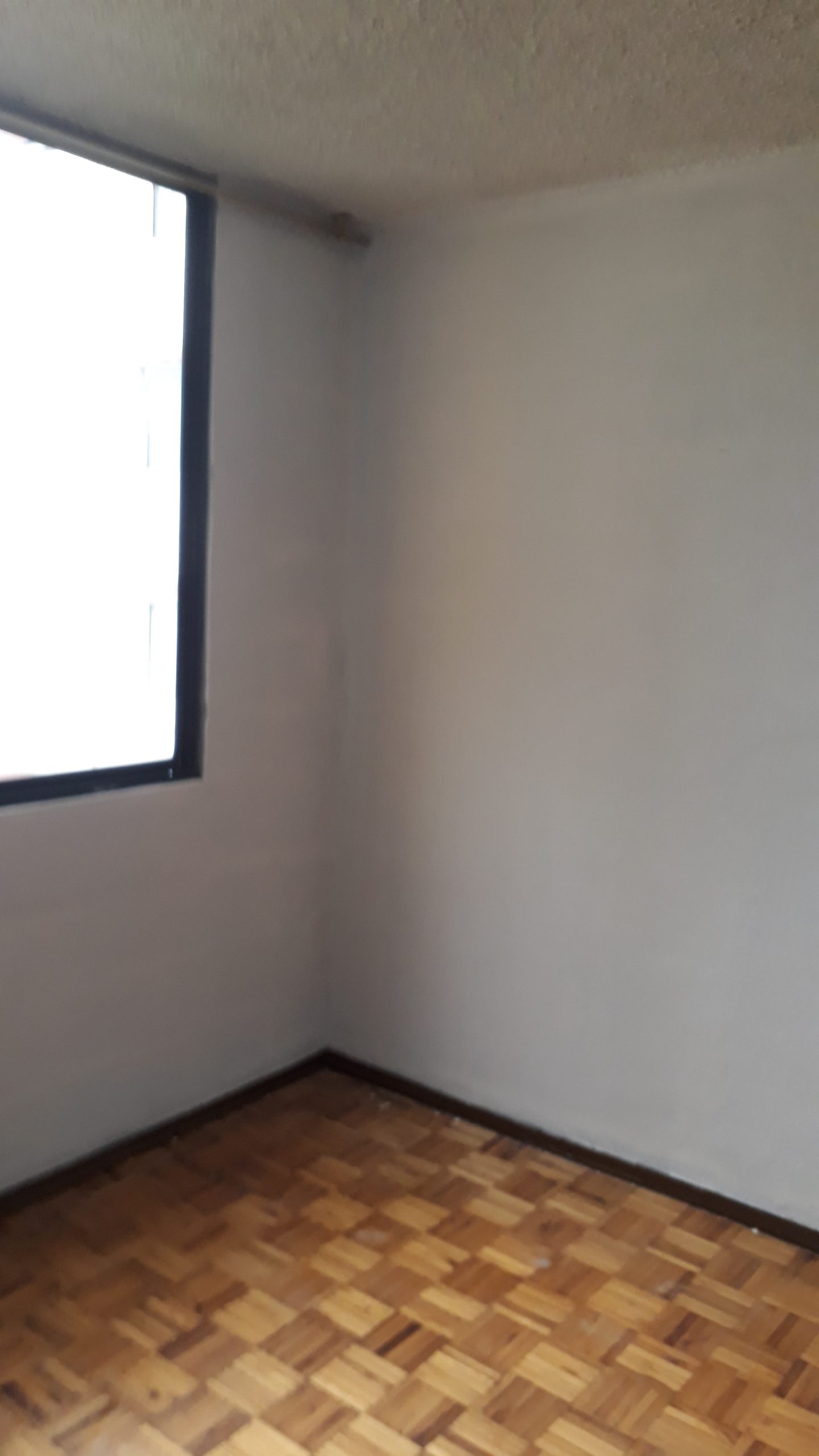 20190325 164234