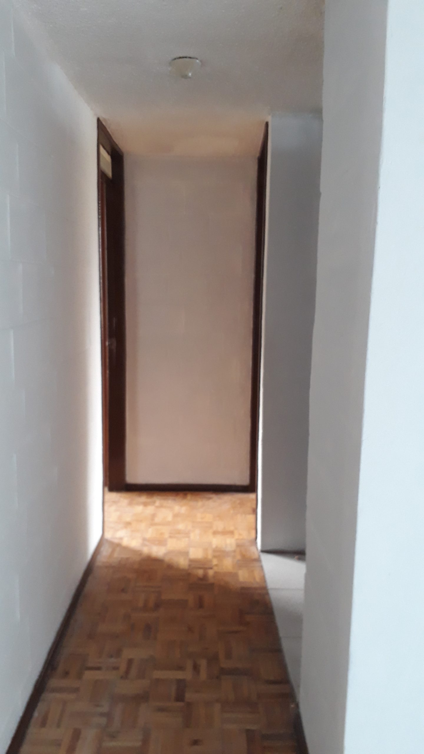 20190325 164746