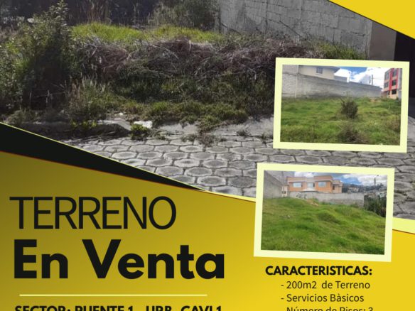 real estate (1) hecho con postermywall