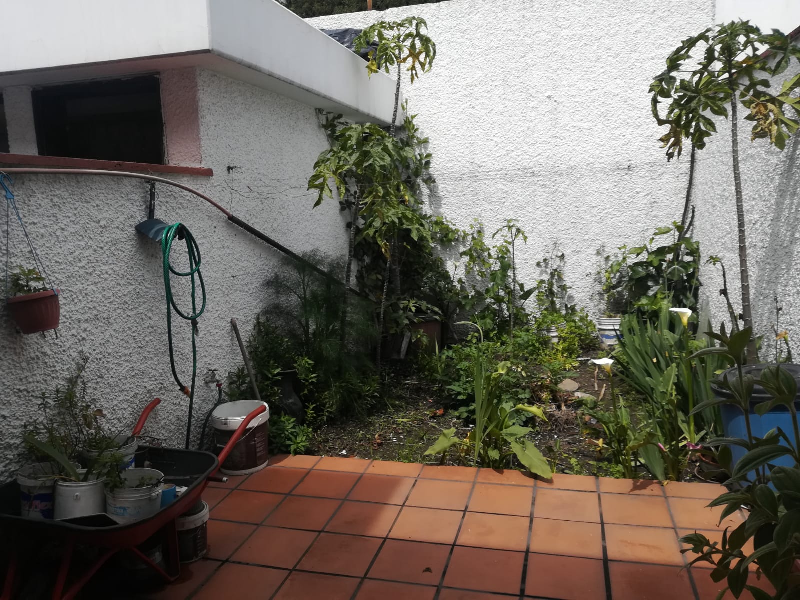 patio posterior